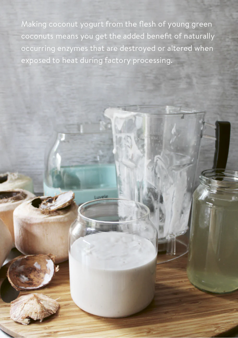 The Luvele DIY Coconut Yogurt Recipe E-Book Bundle PDF/MOBI KF8/EPUB - Image 4