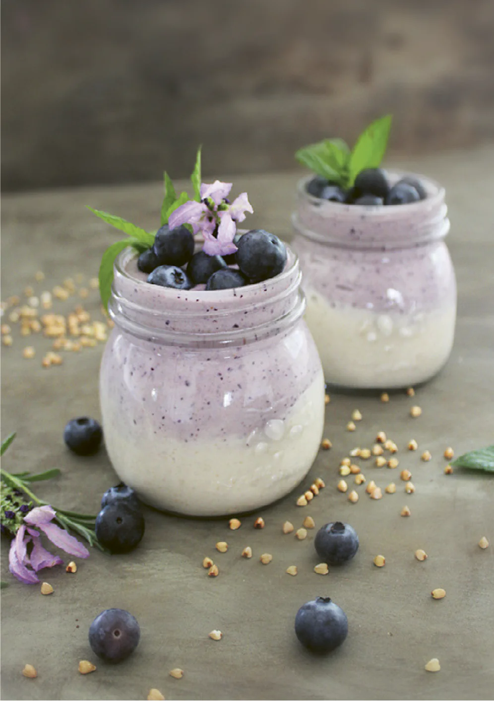 The Luvele DIY Coconut Yogurt Recipe E-Book Bundle PDF/MOBI KF8/EPUB - Image 5